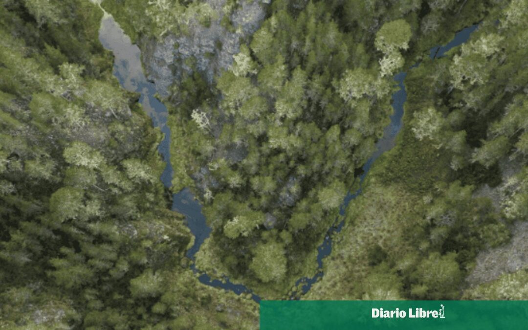 Gobierno crea comisión para lanzar Observatorio de Políticas Ambientales