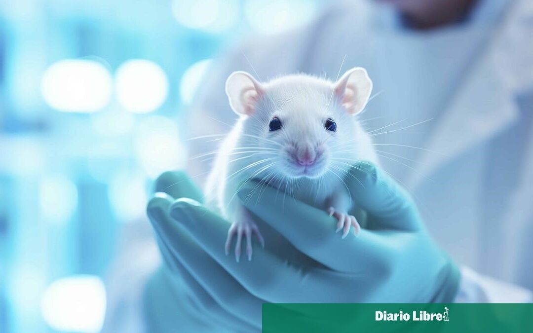 Innovador método CAR-T genera células anti-cáncer dentro del cuerpo