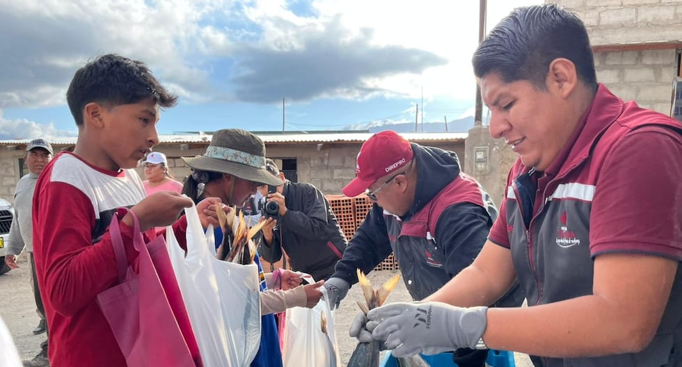 Pisco recibe más de 1,000 toneladas de bonito tras días de fuerte oleaje