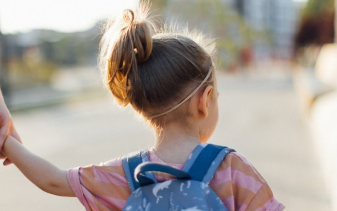 Comisión Sexta aprueba proyecto para frenar comida chatarra en colegios