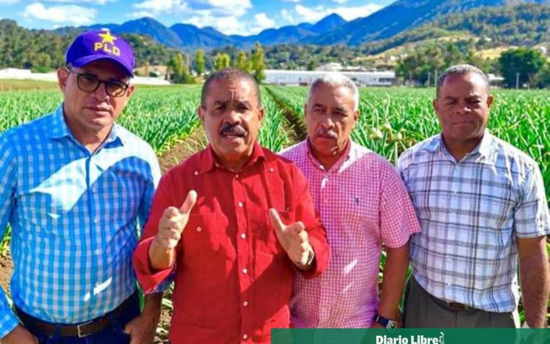 PLD urge al Gobierno a saldar deudas y apoyar a productores de ajo en crisis